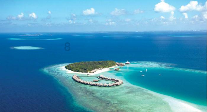 海王星VS僵尸军团