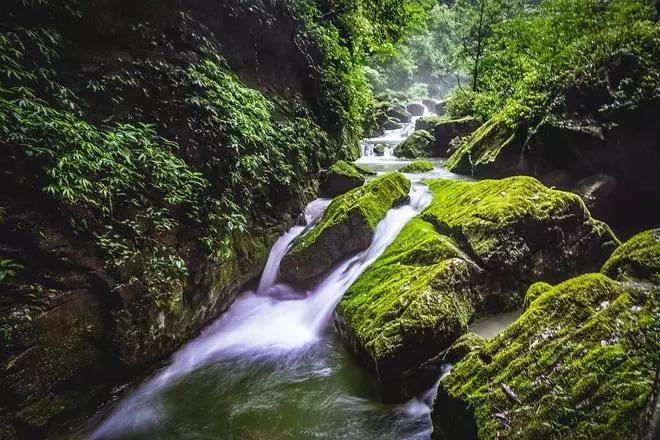 花生种值40天后肥料不均匀有的发黄也矮怎么办？游戏画面